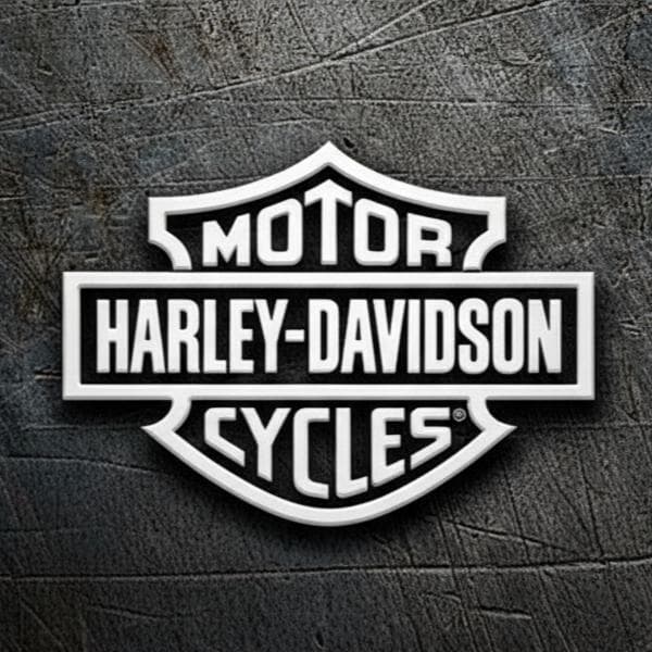 Harley-Davidson Stock File 41000006A 357SDQ001-01 or OLS Project for WinOLS 5