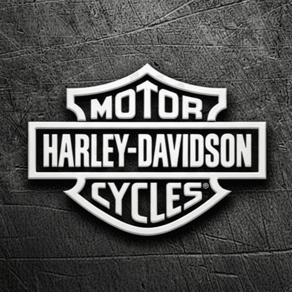 Harley-Davidson Stock File 41000695A OLS Project for WinOLS 5