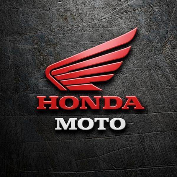 Honda-Moto Stock File 38770-MFJ-D42 or OLS 